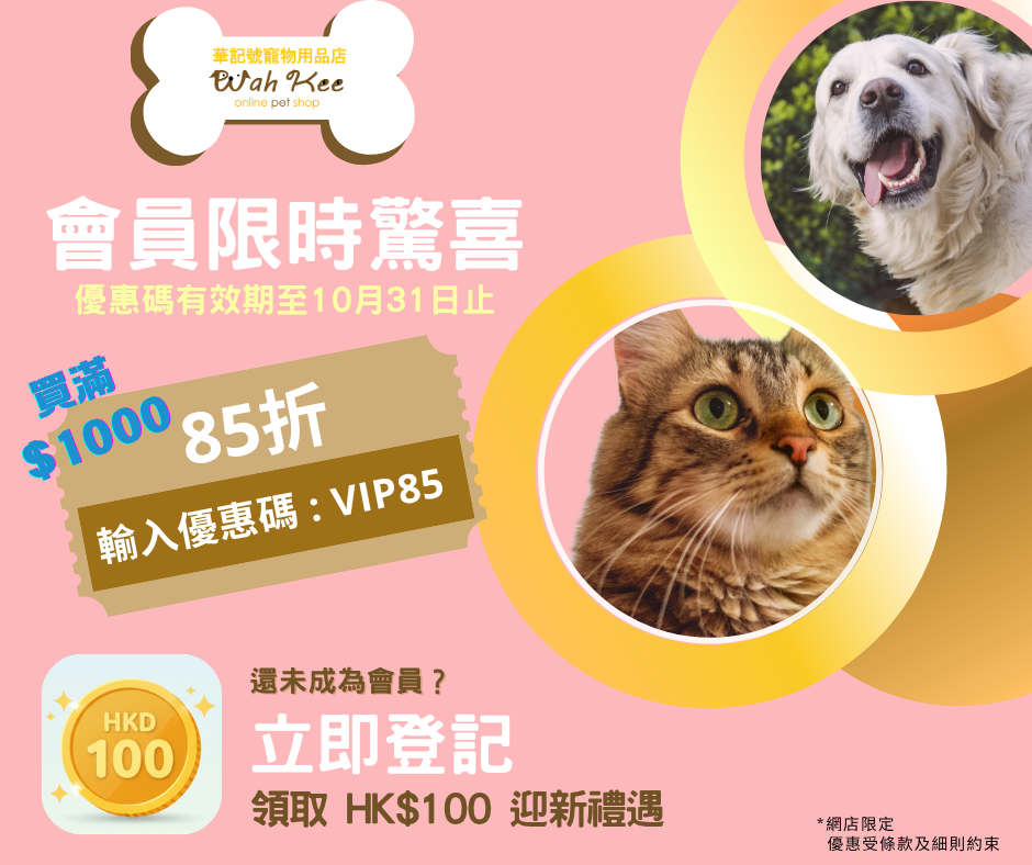 blog inner item image